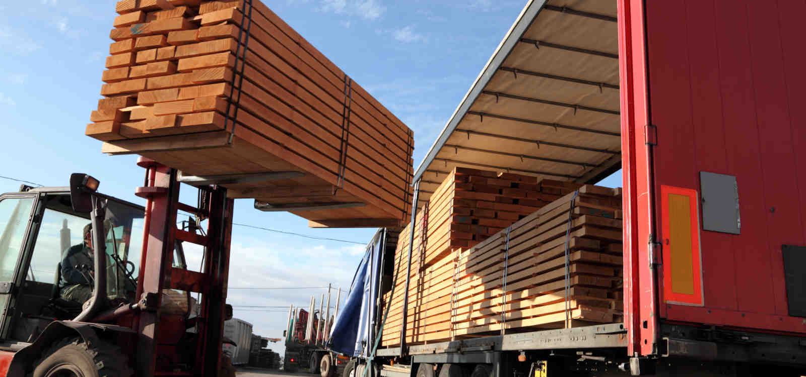 Meeting All Your Lumber Needs with Curtis Supply